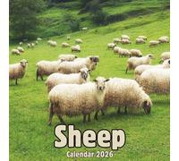 Sheep Calendar 2026: 14-Month Organizer from Nov 2025 to Dec 2026 | Perfect for Home, Office, School & Family Scheduling, For Men , Women , Girls , Boys