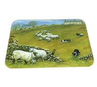 Sheep Dog Medium Glass Worktop Protector 40X30Cm