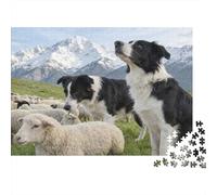 Sheep Herding Dogs 1000 Piece Puzzles Colorful Border Collie with Sheep Wall Decoration Educational Game for Men And Women Challenging Jigsaw Jigsaw Puzzles for Adults 52x38cm/1000pcs