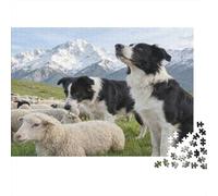 Sheep Herding Dogs 1000 Pieces Sturdy Cardboard Jigsaw Puzzle for Collectors, Ultra Difficult Puzzle, Party Game Activity, Best Gift for Puzzle Enthusiasts 52x38cm/1000pcs