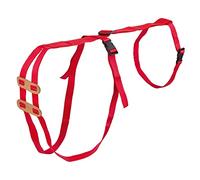 Sheep Incident Bandage