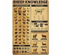 Sheep Knowledge Metal Tin Sign The World Breeds of Sheep Dart of A Sheep Unplaning Poster Retro Farm Home Kitchen Restaurant Club Home Wall Decoration 12x16 Inches