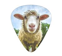 Sheep Looking Camera Guitar Pick 12 Pieces Guitar Accessories Guitar Pickup Suitable For Guitar Yukriri And Other