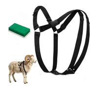 Sheep Mating Crayon Block Marker, Adjustable Leather Nylon Ram Marking Harness for Ram Breeding/Marking Harness Goat Strap with Crayon (Green)