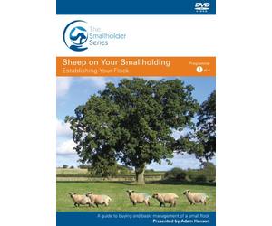 Sheep on Your Smallholding - Establishing Your Flock