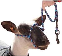 Sheep Rope Halter with Snap Lead Blue Fusion (Blk Blu Pk)