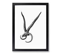 Sheep Skull Illustration in Black & White Framed Print | A2 Black Framed Wall Art | Ready to Hang | Modern Skull Picture | Living Room Bedroom Lounge Office