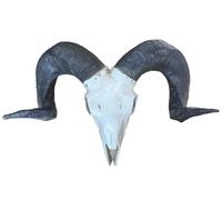 Sheep Skull Wall Mount Sculpture, Large Horn Ram Hanging Animal Head Ornament Figure Art Décor Resin with Vintage Ivory Finish, Wildlife Indoor Outdoor Decorative Accessories, Gift (Sheep Skull)