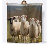 Sheep Throw Blanket 70 x 100 cm Farm Animals Flannel Fluffy Fleece Blanket Soft Lightweight Warm Blankets and Throws for Bed Sofa and Couch A-4979