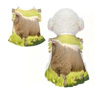 Sheep Wool Fluffy XS Pet Apparel for Small Dogs-Cute Summer Outfit for Puppy, Soft Breathable Pet Clothes for Cat