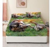 Sheepdog Fitted Sheet Tabby Cat Bed Sheets Deep Pocket 12 inch (30 cm) Soft Cozy 3 Piece Microfibre Bed Sheet 200x200 cm with 2 Pillowcases 50x75 cm