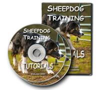 Sheepdog Training Tutorials Volume 1 [DVD]