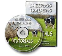 Sheepdog Training Tutorials Volume 2 [DVD]