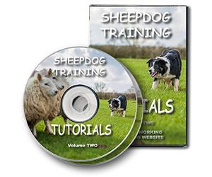 Sheepdog Training Tutorials Volume 2 [DVD]