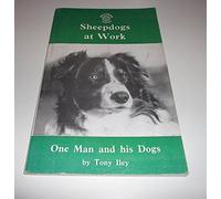 Sheepdogs at Work
