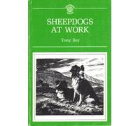 Sheepdogs at Work