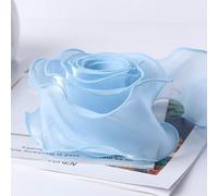 Sheer Organza Ribbon, 10 Yards by 5 Centimeters Polycotton Organza Ribbon A16 for Bouquets and Gift Wrapping