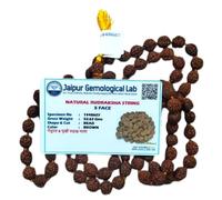 SHEERAVI ENTERPRISES The Purity And Premium 5 Mukhi Rudraksha Mala - 108+1 Beads | Natural & Certified | Unisex Both for Men & Women | Perfect for Gifting.|Brown |Certified Certificate With Pack