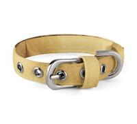 Sheet Music Collar Easy-Fastening Buckle，Pet Supplies Adjustable ，Dog Collar The D-Ring Design Allows for Towing Or Hanging Tags，for Small to Medium-Sized Dogs.