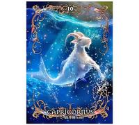SHEGZHUC 30 x 40 cm Capricorn Diamond Painting 5D Zodiac Sign Art Embroidery Cross Stitch Gift Wall Decoration