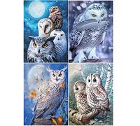 SHEGZHUC 4 Pack Diamond Painting Owl 30x40 cm Owl Diamond Painting Diamond Art Snowy Owl Diamond Painting Mosaic Owl Snowy Owl Diamond Art Diamond Picture Art Owls Diamond Mosaic Animals