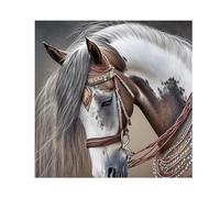 SHEGZHUC 40 x 40 cm Diamond Painting Square Stones Horse Diamond Painting Horse Head White/Brown Diamond Painting Animals Diamond Painting Art Embroidery Cross Stitch Pictures Gift Wall Decoration