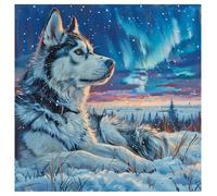 SHEGZHUC 40 x 40 cm Square Stones Diamond Painting Wolf Diamond Painting Animals Diamond Painting Winter Landscape Large Mosaic Diamond Painting Art Embroidery Cross Stitch Pictures Gift Wall