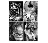 SHEGZHUC Diamond Painting 4 Pieces Eyes 30 x 40 cm Tiger Diamond Painting Lion Owl Diamond Painting Wolf Diamond Painting Diamond Mosaic Animals Adult Painting by Numbers Kits Animals