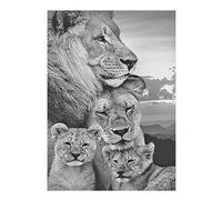SHEGZHUC Diamond Painting Lion and Lioness 40 x 50 cm Black White Painting by Numbers 5D Diamond Painting Lion Diamond Painting Animals Pearl Pictures Adults Animals Craft Buddy