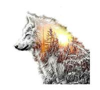 SHEGZHUC Wolf Diamond Painting 40x40cm Wolf Diamond Paint by Numbers Kits Wolf Diamond Painting Sunset Diamond Painting Winter Landscape Snow Diamond Animals in a Forest Diamond Mosaic Animals