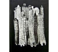 Sheikh Fazal - a Camel for the Sun