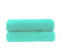 SHEIKH'S TRIPLET 2 Hand towel for bathroom, Fade Resistant 100% Cotton, soft absorbent hand towels 2-Pack (50x100 cm) (Mint)