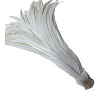shekyeon 12-14inch Rooster Tail Feather Use for Hats Costume Decoration Pack of 50 (off White)