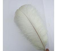 Shekyeon 16-18inch 40-45cm Ostrich Feather DIY Craft Feather Pack of 10(Ivory)
