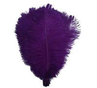 shekyeon 16-18inch 40-45cm Ostrich Feather DIY Craft Feather Pack of 10(Purple)