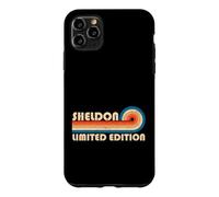 Sheldon Retro 70s 80s Sunset Stripe Case for iPhone 11 Pro Max