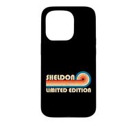 Sheldon Retro 70s 80s Sunset Stripe Case for iPhone 15 Pro