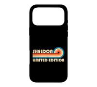 Sheldon Retro 70s 80s Sunset Stripe Case for iPhone 17 Pro Max