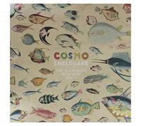 Cosmo Sheldrake - The Much Much How How and I [VINYL]