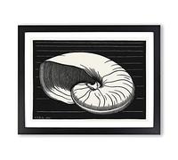 Shell By Julie De Graag Classic Painting Framed Wall Art Print, Ready to Hang Picture for Living Room Bedroom Home Office Décor, Black A3 (46 x 34 cm)