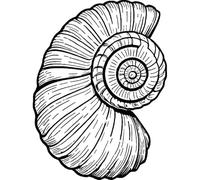 'Shell Fossil' Rubber Stamp - Unmounted Design for Crafting & Scrapbooking, A8 (RS00052752)