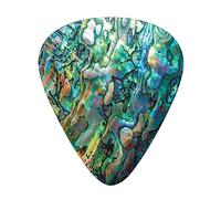 Shell Guitar Picks 12 Pack Universal ABS Guitar Picks,Haliotis of a Macro Photo Incredible Nature Closeup Unique al Detail,for Acoustic and Electric Guitar