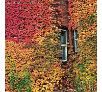 Shell of a Shell Away Team (Vinyl) 12" Album (US IMPORT)