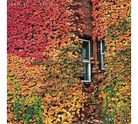 Shell of a Shell Away Team (Vinyl) 12" Album (US IMPORT)