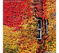 Shell of a Shell : Away Team VINYL 12" Album (2020) NEW Quality guaranteed