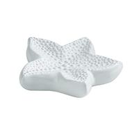 Shell Soap Dish, Starfish Jewelry Dish Tray, Ceramic Ocean Soap Holder for Bathroom,Tub, Kitchen Sink & Vanity Spaces(Starfish)