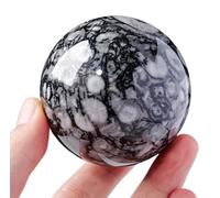 Shell Stone Crystal Ball Ornament with Stand Rare Black White Gemstone Sphere Fengshui Decoration for Gift,50~55mm