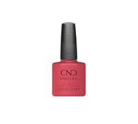 Shellac Love Letter