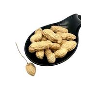 Shelled Peanuts Nuts Unsalted & Roasted - Arachis Hypogaea (30 Grams)