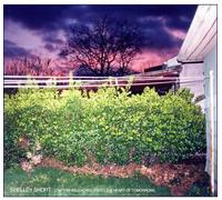 Shelley Short - Captain Wild Horse Rides the H eart of Tomorrow